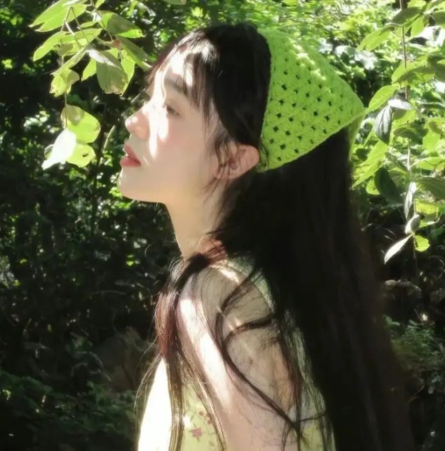 新泰山野人记